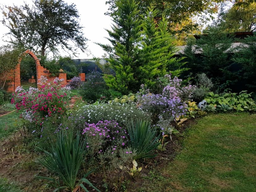  - 2020 Septembrie Aster