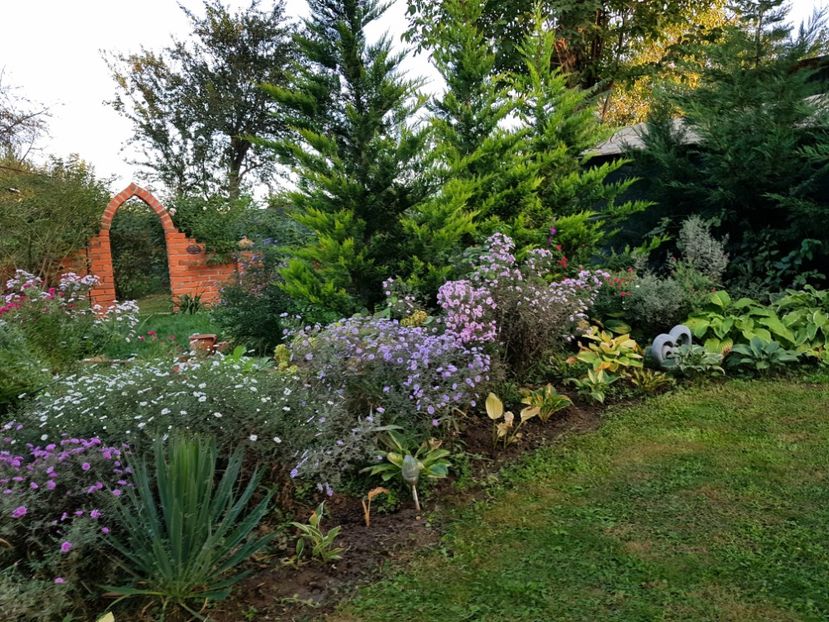  - 2020 Poiana Ciresului