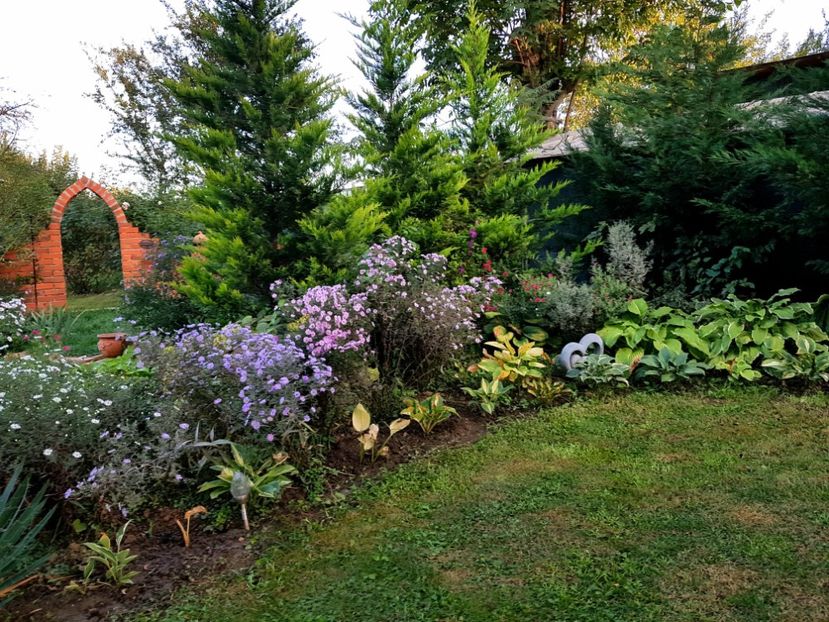  - 2020 Poiana Ciresului