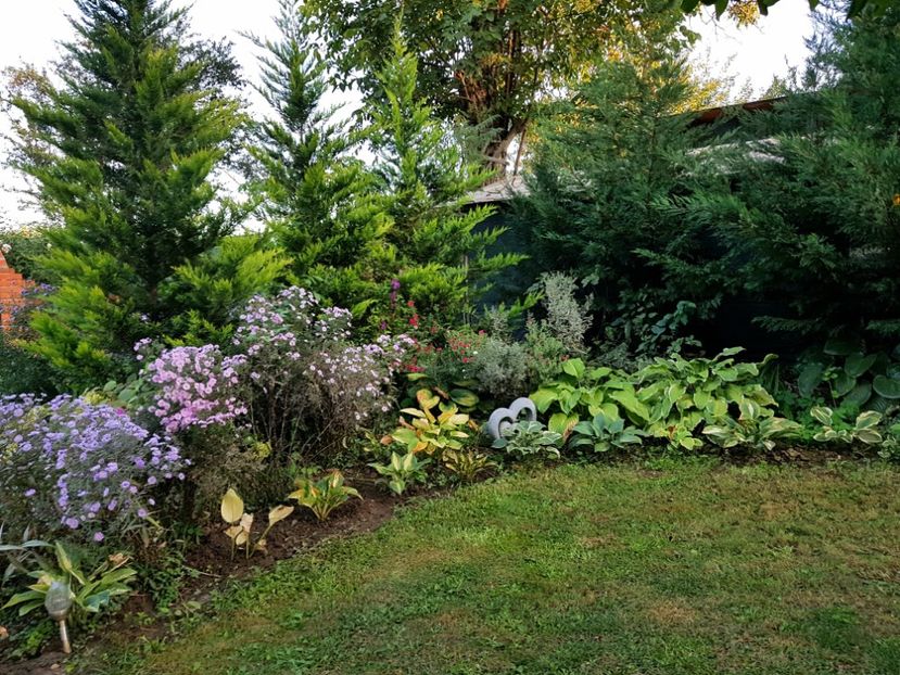  - 2020 Poiana Ciresului