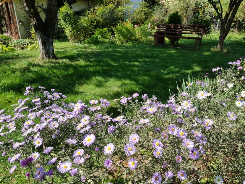  - 2020 Poiana Ciresului