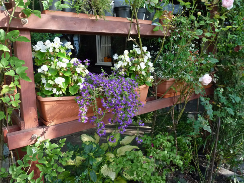  - 2020 - 03 - Toamna