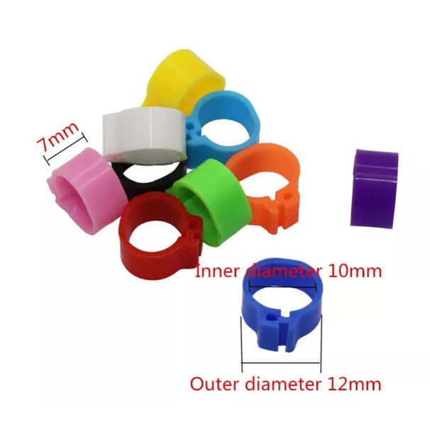  - A1 CLEME PORUMBEI DE VANZARE