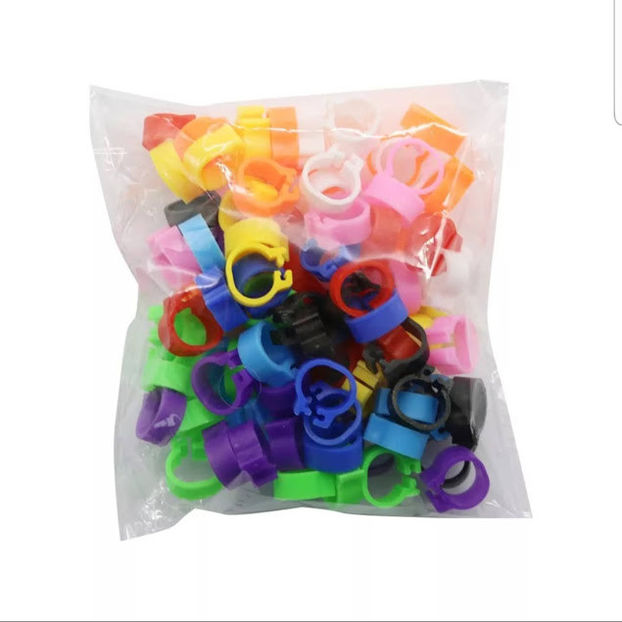  - A1 CLEME PORUMBEI DE VANZARE