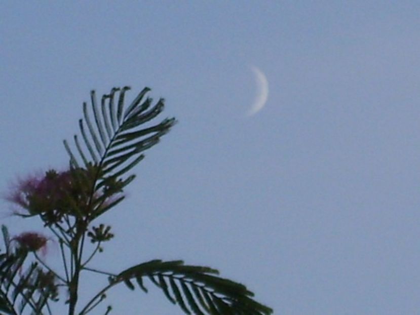 Luna noua in Scorpion - Luna - Soarele si norii - 2