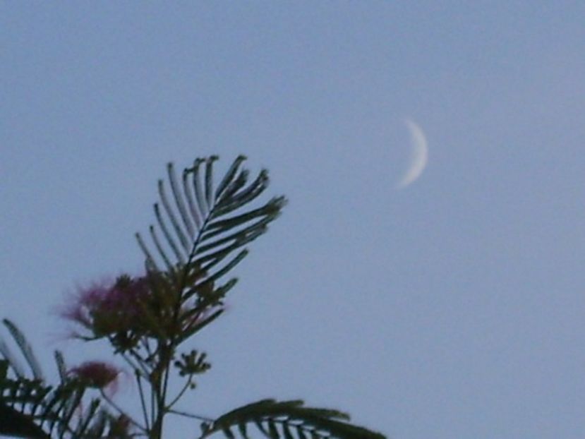 Luna noua in Scorpion - Luna - Soarele si norii - 2