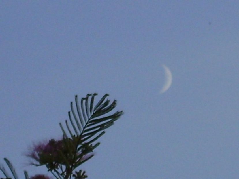 Luna noua in Scorpion - Luna - Soarele si norii - 2