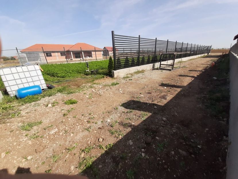 WhatsApp Image 2020-09-20 at 17.33.41 - TEREN CALIN