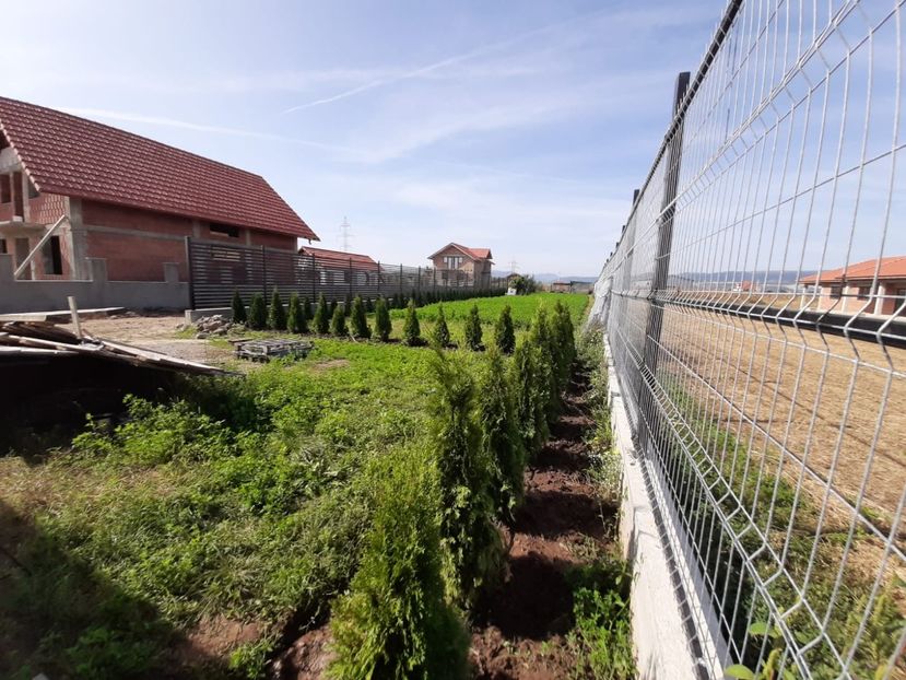 WhatsApp Image 2020-09-20 at 17.31.49 (3) - TEREN CALIN