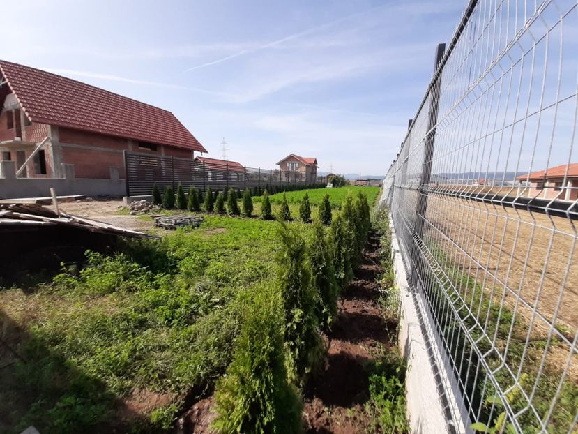 WhatsApp Image 2020-09-20 at 17.31.49 (4) - TEREN CALIN