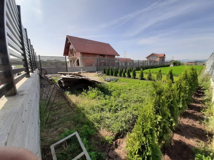 WhatsApp Image 2020-09-20 at 17.31.50 - TEREN CALIN