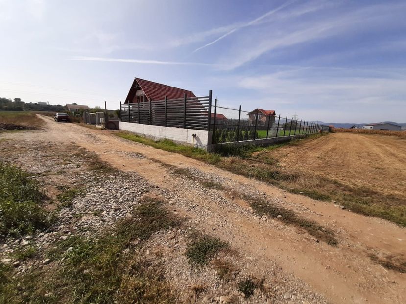 WhatsApp Image 2020-09-20 at 17.31.51 (2) - TEREN CALIN