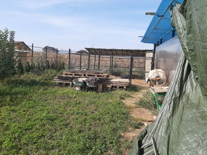 WhatsApp Image 2020-09-20 at 18.01.55 - TEREN CALIN