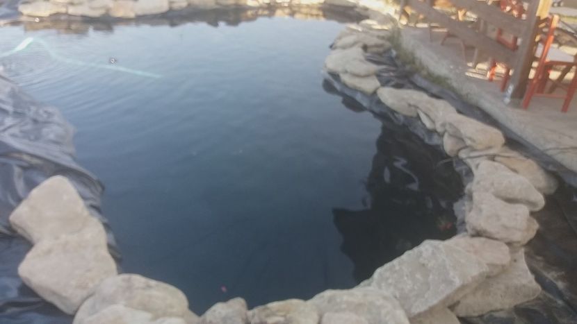 incepe sa prinda forma - Constructie iaz ornamental-koi