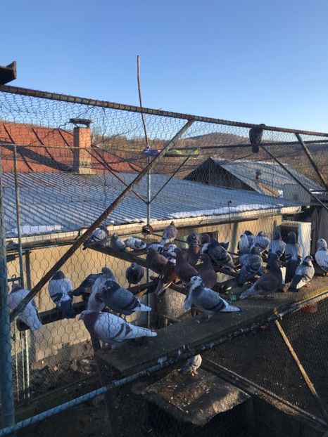 2BAD659B-B384-4BCB-AC3A-8EAC1C4CEBC7 - Voiajori sport 2016 - 2020