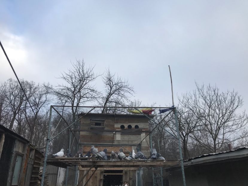 F43F6964-7C8F-4C7C-9FFA-0ECA2BD9F17F - Voiajori sport 2016 - 2020