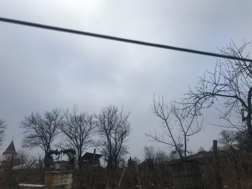 BF843F24-10D2-4992-995C-A0206F4DF70D - Voiajori sport 2016 - 2020