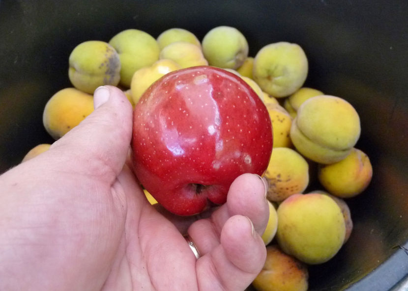  - 2020 - 03 - Toamna