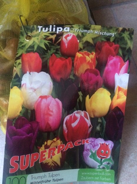 100 de lalele - A -Magazin