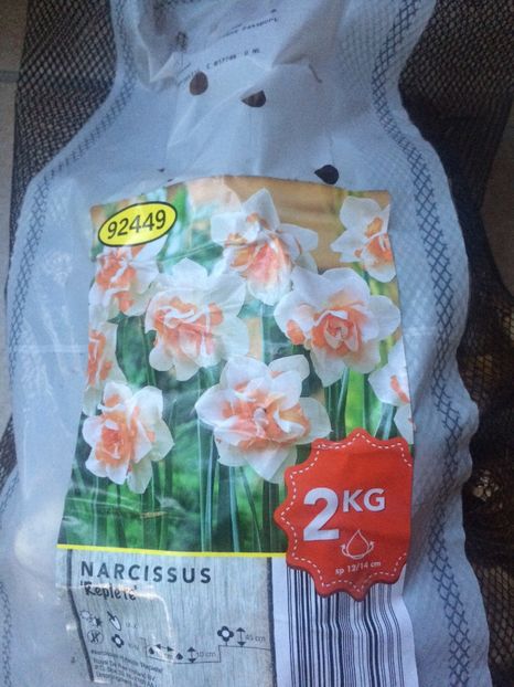 Narcise 2 kg - A -Magazin