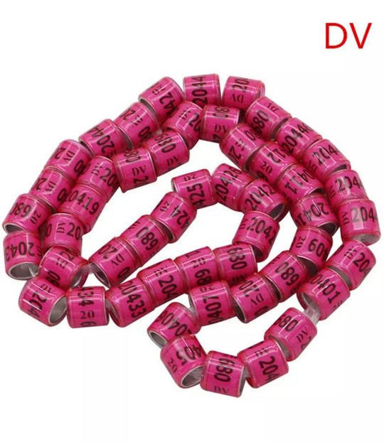  - INELE PORUMBEI ORNAMENT