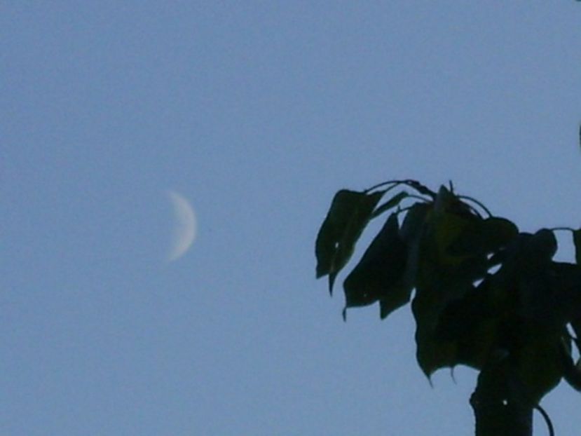 Echinoctiul de toamna - Luna in crestere in Sagetator - Luna - Soarele si norii - 2
