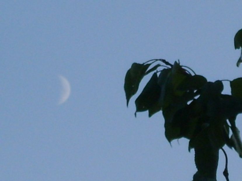 Echinoctiul de toamna - Luna in crestere in Sagetator - Luna - Soarele si norii - 2