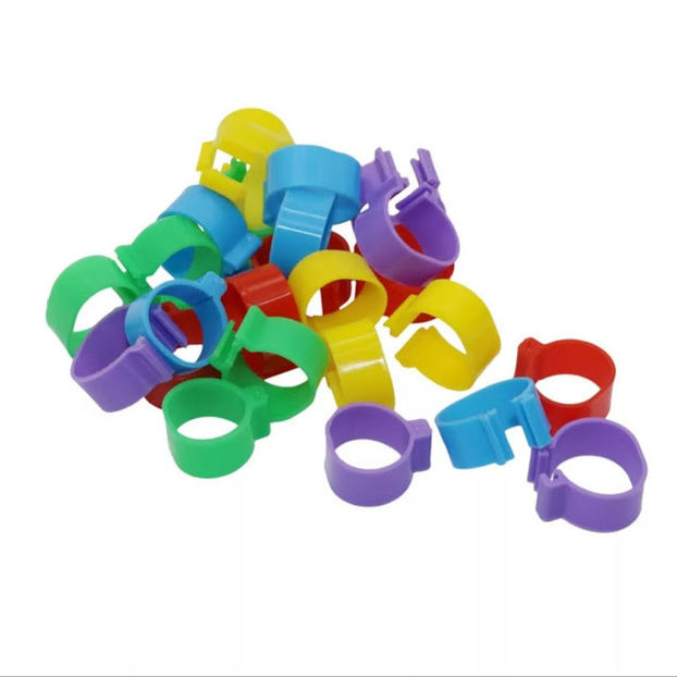  - CLEME GAINI DE VANZARE