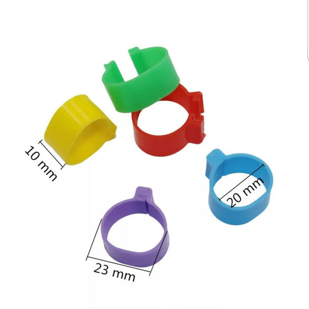  - CLEME GAINI DE VANZARE