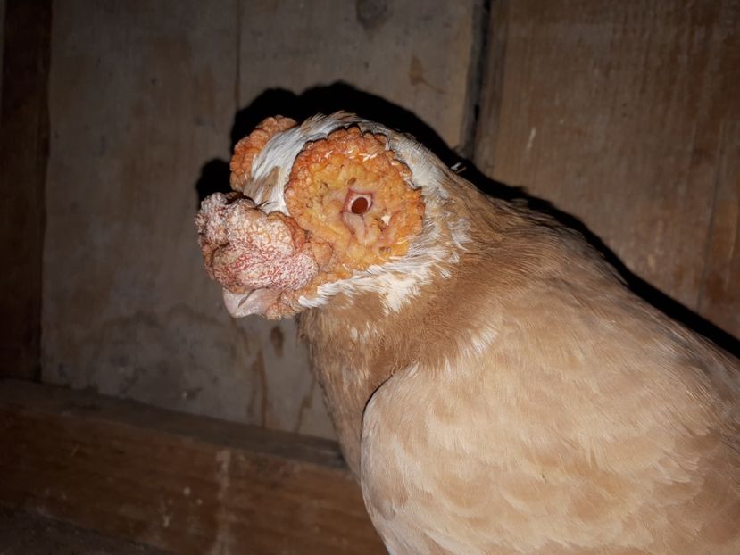  - 1 _contact - 0743410333