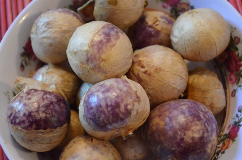 Tomatillo Purple - ProVegan