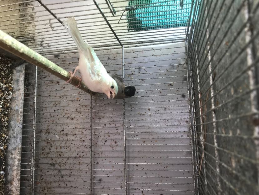 30D84A48-AD7F-4864-B107-367E49990140 - Mugurari 2020