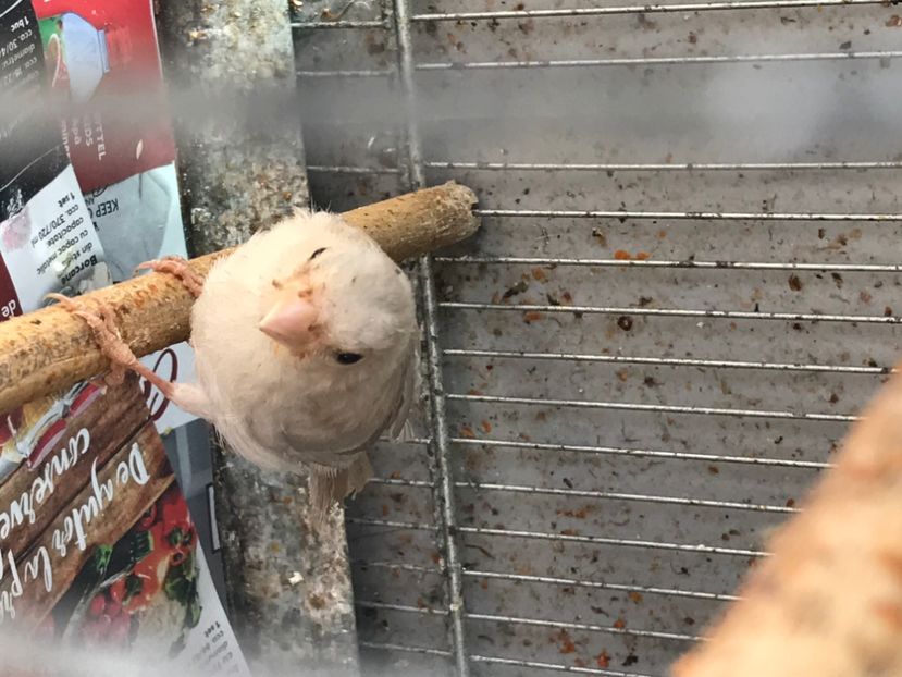 177CF233-7873-4FD6-9B92-5442A447E1AA - Mugurari 2020