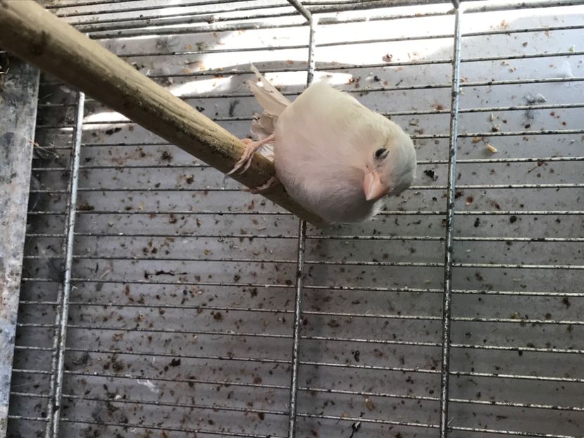 8E0F6E5A-9D26-4AC2-8D06-F1E5DF011F27 - Mugurari 2020