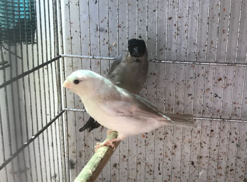 7A42530C-B803-4C7E-93F3-47282BFC76D2 - Mugurari 2020