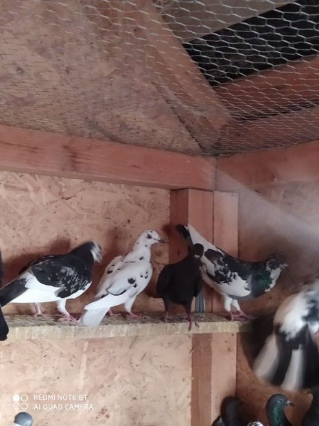  - Achizitii 23 Septembrie 2020