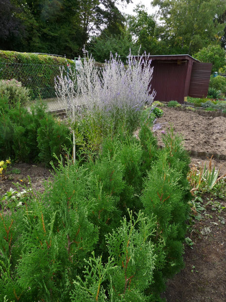  - 2020 - 03 - Toamna