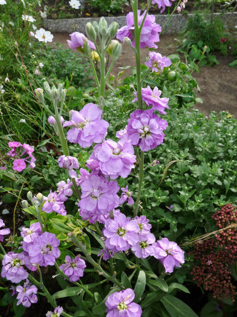  - 2020 - 03 - Toamna