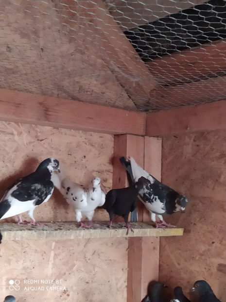  - Achizitii 23 Septembrie 2020