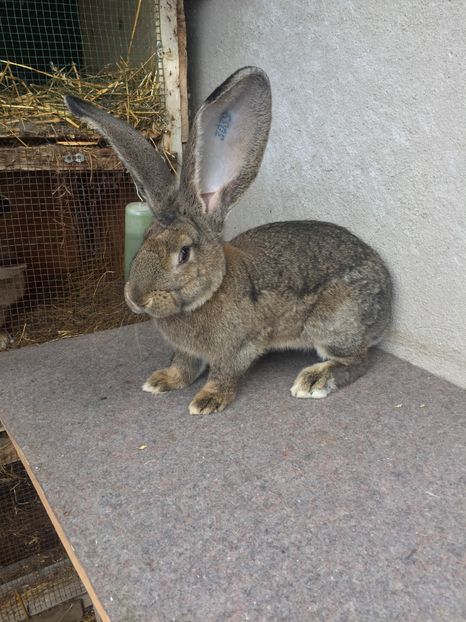 C6AA91B1-B2C4-479E-BC4D-65B16B365E19 - RO 8-3039