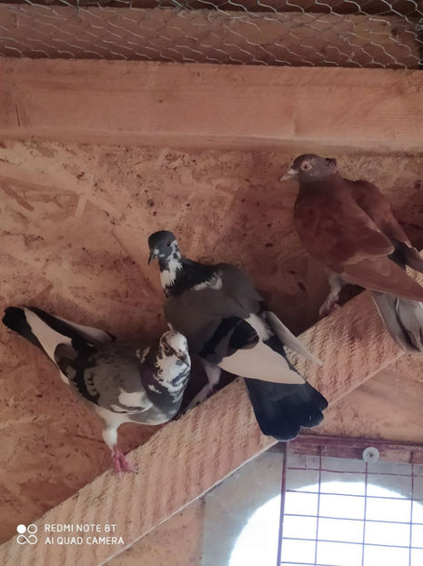  - Achizitii 23 Septembrie 2020