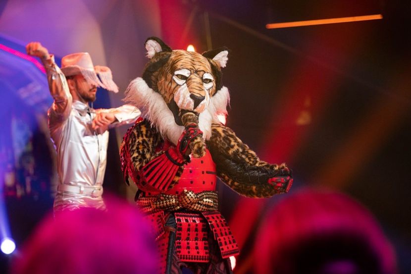 Masked Singer - Masked Singer 2020-Prezent