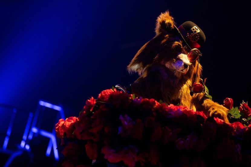 Masked Singer - Masked Singer 2020-Prezent