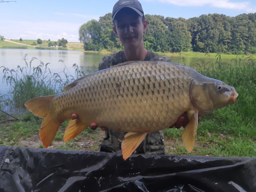 Darius Sisterea 2020 - Capturi-pesti