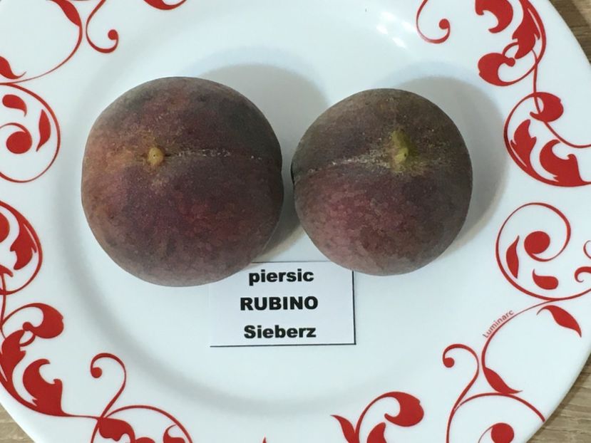 Rubino Sieberz - Piersici cu FRUCTE ROSII