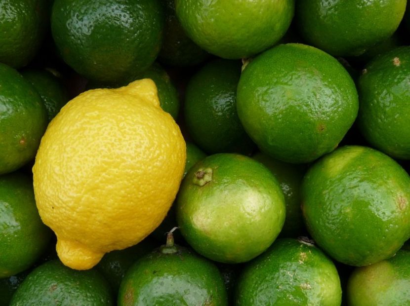 Lemon Green and Yellow !Hello - -Buna Introducere