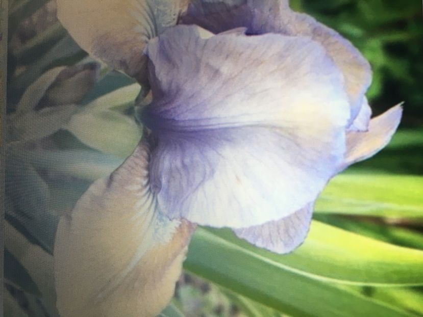 3B8C41A2-55A1-4F5F-8044-20E92006CE0E - Disponibile