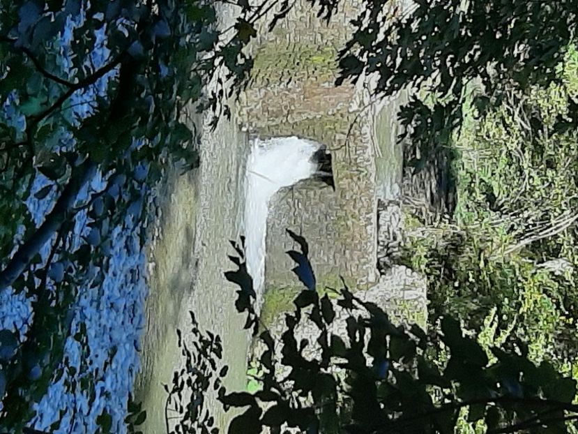  - Cheile Sohodolului septembrie 2020