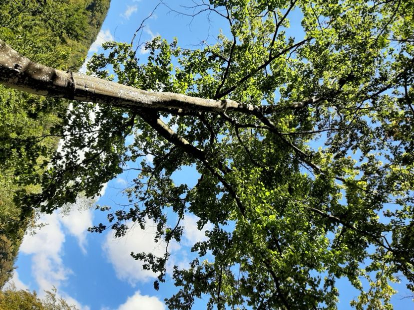  - Cheile Sohodolului septembrie 2020