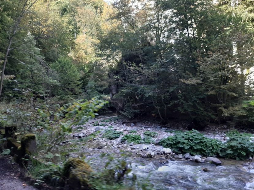  - Cheile Sohodolului septembrie 2020